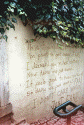 bqadwall.jpg (100322 bytes)