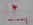graffiti07.jpg (9761 bytes)